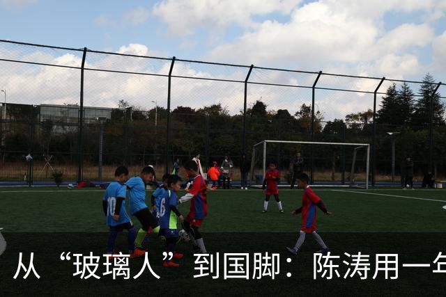 从“玻璃人”到国脚：陈涛用一年，救了戴伟浚的职业生涯