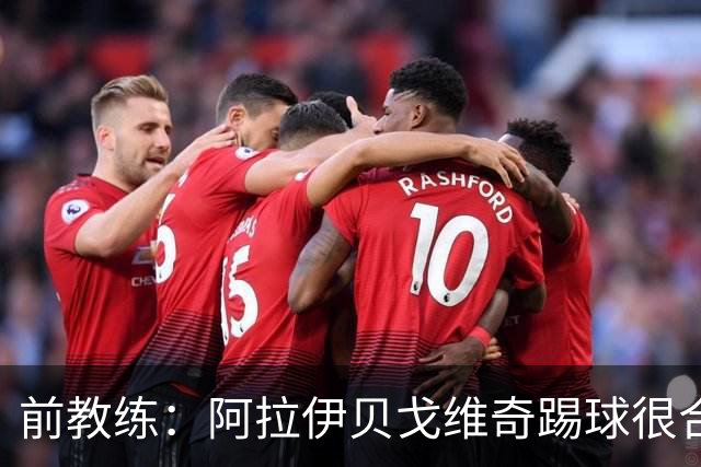前教练：阿拉伊贝戈维奇踢球很合理，求胜欲也强无法接受失败