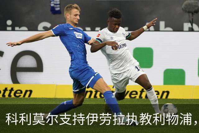 科利莫尔支持伊劳拉执教利物浦，称其风格鲜明